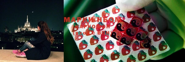 mix Снежинск