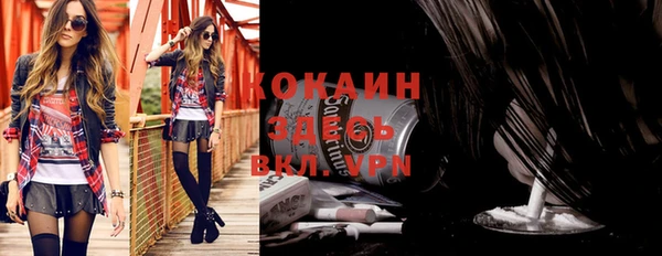 прущие грибы Заполярный