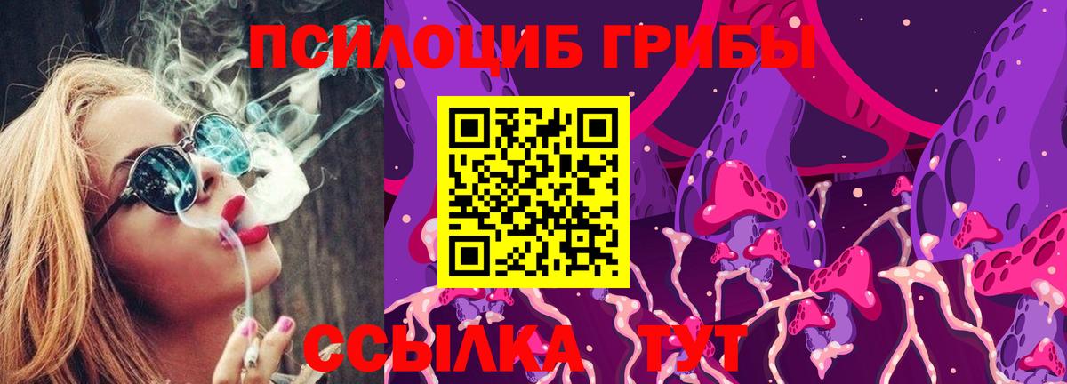 Псилоцибиновые грибы Cubensis Алексин