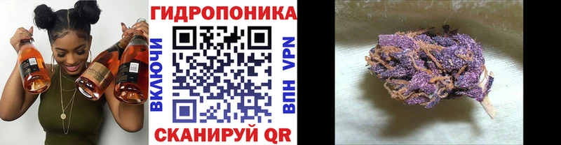 Конопля Ganja  Алексин 